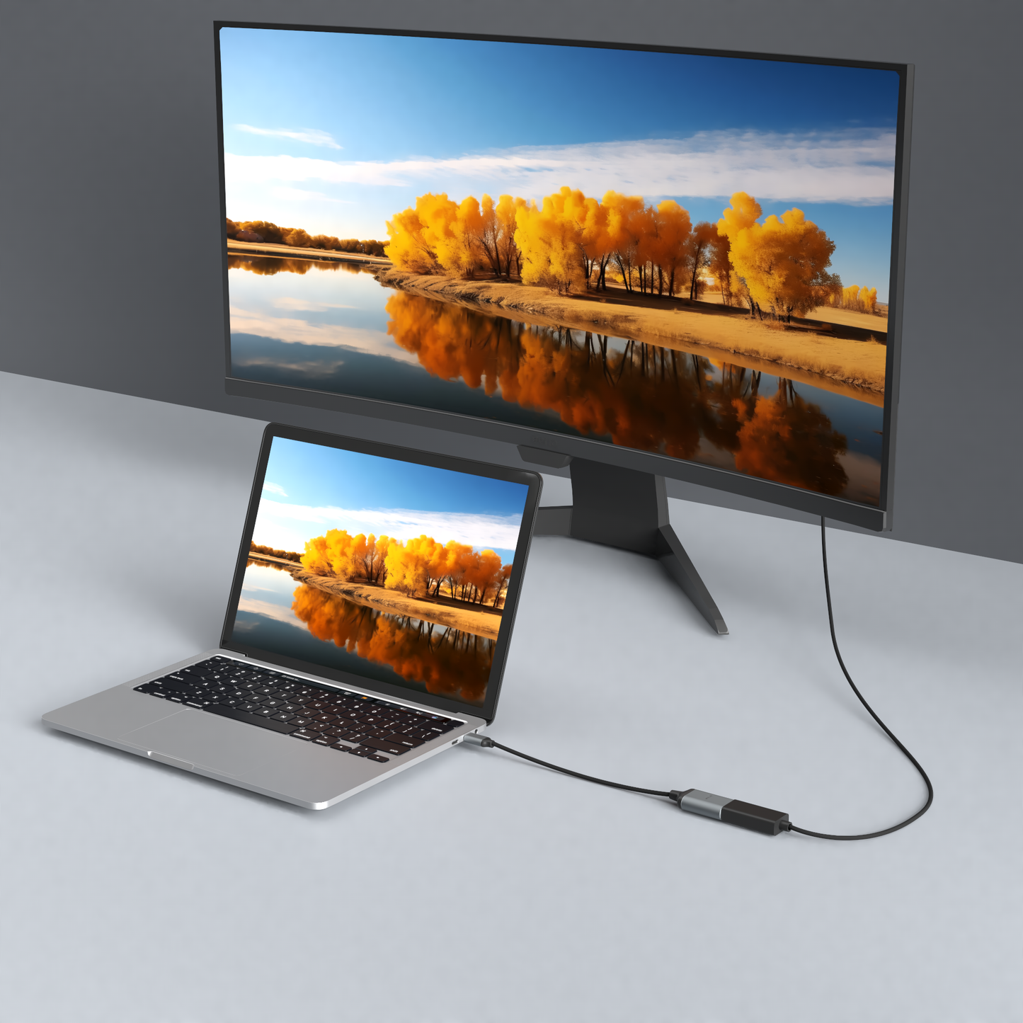 Rolio USB C Adapter - USB-C naar DisplayPort - 4K 144hz